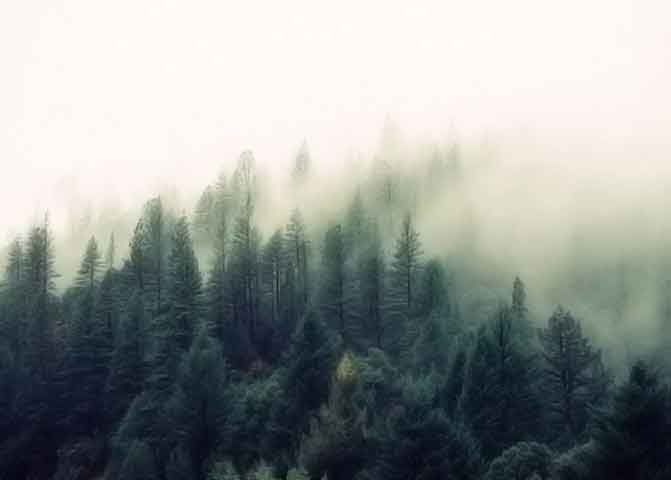 呼死你在线免费试用